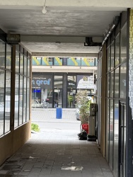 Photo of this report