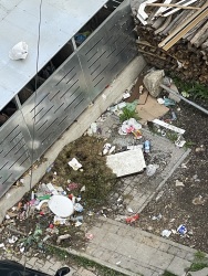 Photo of this report