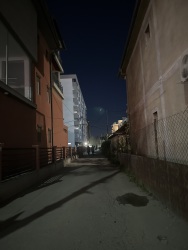 Photo of this report