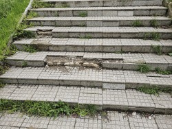 Photo of this report