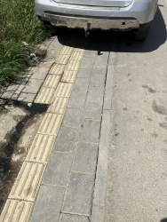 Photo of this report