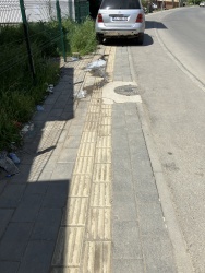 Photo of this report