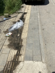 Photo of this report