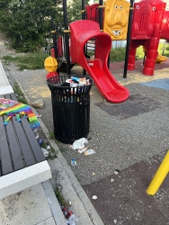 Photo of this report