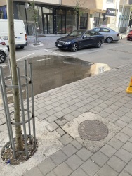 Photo of this report