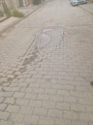 Photo of this report