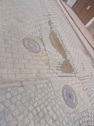 Photo of this report