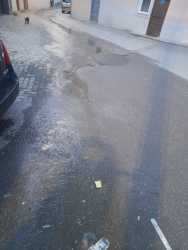 Photo of this report