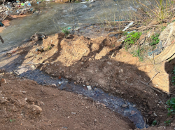 Photo of this report