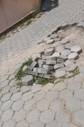 Photo of this report