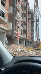 Photo of this report