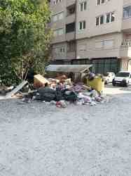 Photo of this report