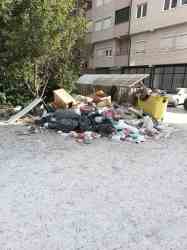 Photo of this report