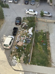 Photo of this report