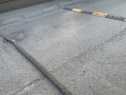 Photo of this report