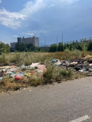 Photo of this report