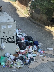 Photo of this report