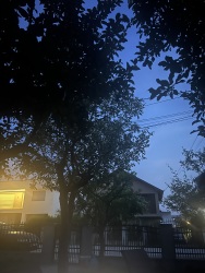 Photo of this report