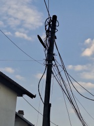 Photo of this report