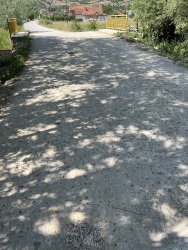 Photo of this report