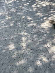 Photo of this report