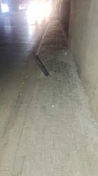 Photo of this report