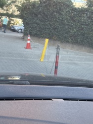 Photo of this report