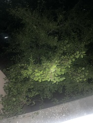 Photo of this report