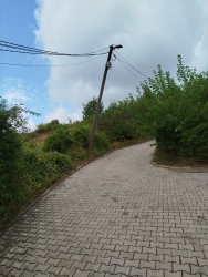 Photo of this report