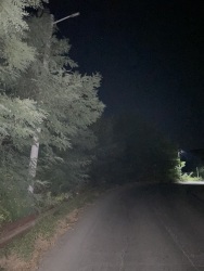 Photo of this report