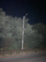 Photo of this report