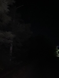 Photo of this report