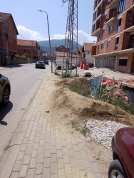 Photo of this report