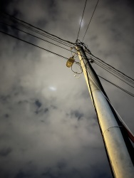 Photo of this report