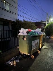 Photo of this report