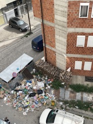 Photo of this report