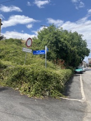 Photo of this report