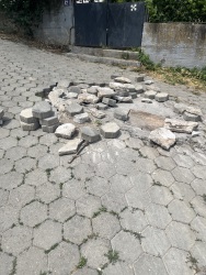 Photo of this report