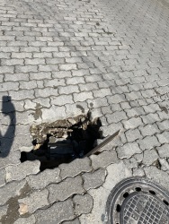 Photo of this report