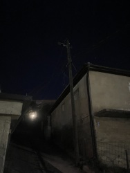 Photo of this report