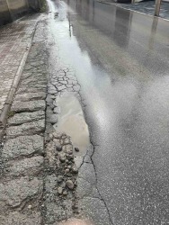 Photo of this report