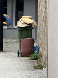 Photo of this report