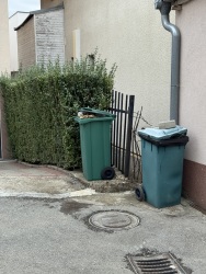 Photo of this report