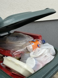 Photo of this report