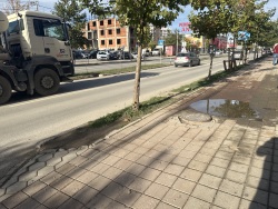 Photo of this report