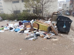 Photo of this report