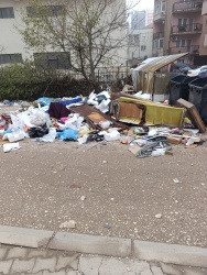 Photo of this report