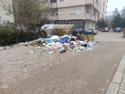 Photo of this report