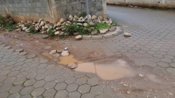 Photo of this report