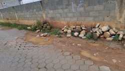 Photo of this report